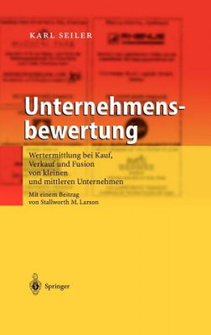 Könyv Unternehmensbewertung Karl Seiler