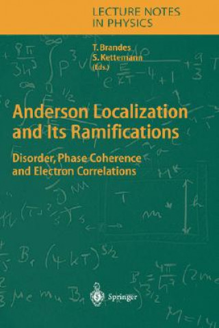 Könyv Anderson Localization and Its Ramifications T. Brandes
