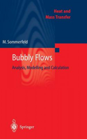 Kniha Bubbly Flows M. Sommerfeld