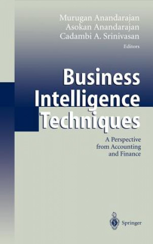 Kniha Business Intelligence Techniques M. Anandarajan