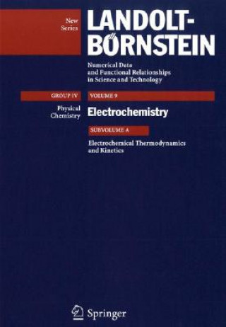 Kniha Electrochemical Thermodynamics and Kinetics Rudolf Holze