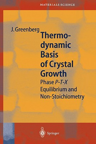 Könyv Thermodynamic Basis of Crystal Growth Jacob Greenberg