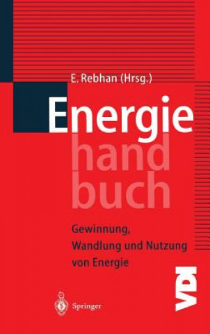 Könyv Energiehandbuch Eckhard Rebhan
