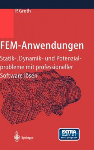 Kniha Fem-Anwendungen Peter Groth