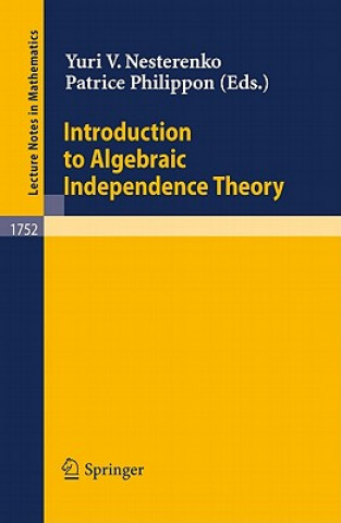 Könyv Introduction to Algebraic Independence Theory Yuri V. Nesterenko