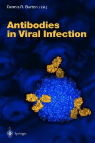 Buch Antibodies in Viral Infection Dennis R. Burton