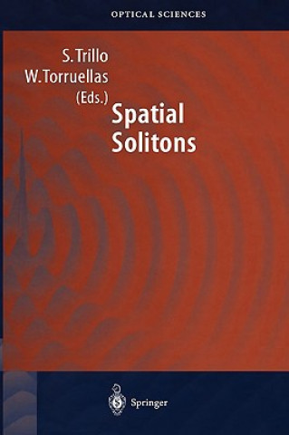 Boek Spatial Solitons Stefano Trillo