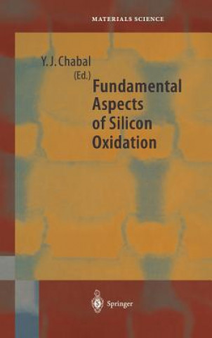 Книга Fundamental Aspects of Silicon Oxidation Yves J. Chabal