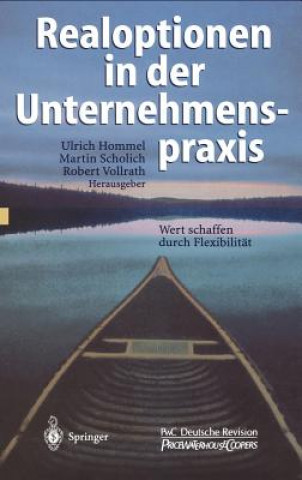 Buch Realoptionen in Der Unternehmenspraxis Ulrich Hommel