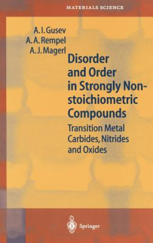 Könyv Disorder and Order in Strongly Nonstoichiometric Compounds Alexandr I. Gusev