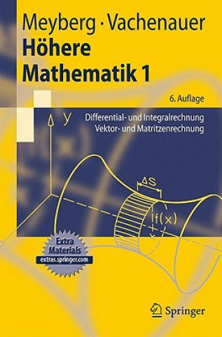 Könyv Hoehere Mathematik 1 Kurt Meyberg