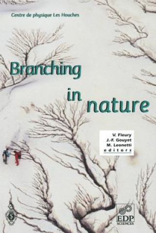 Kniha Branching in Nature V. Fleury