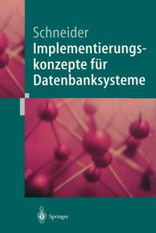 Buch Implementierungskonzepte für Datenbanksysteme Markus Schneider