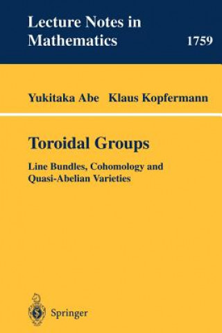 Knjiga Toroidal Groups Yukitaka Abe