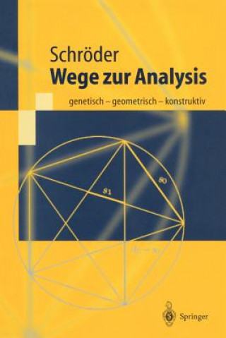 Carte Wege zur Analysis Herbert Schröder