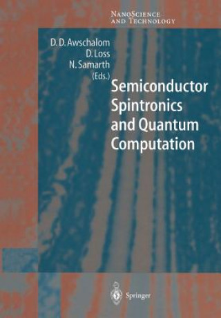 Book Semiconductor Spintronics and Quantum Computation David D. Awschalom