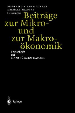 Libro Beiträge zur Mikro- und zur Makroökonomik Siegfried K. Berninghaus