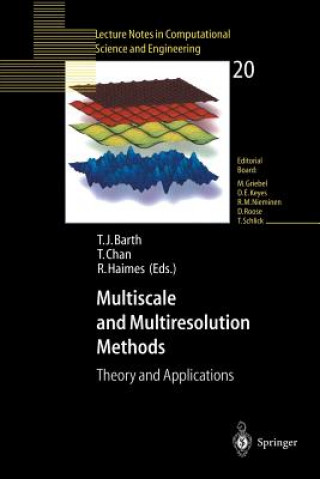 Kniha Multiscale and Multiresolution Methods Timothy J. Barth