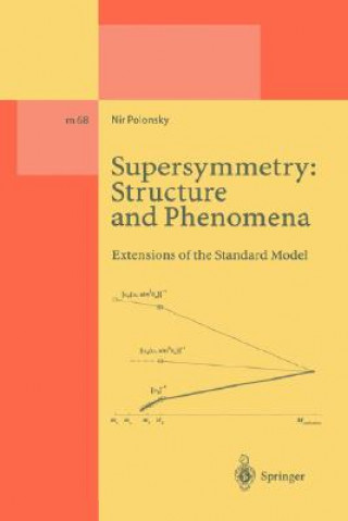 Buch Supersymmetry: Structure and Phenomena Nir Polonsky