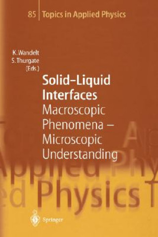 Könyv Solid-Liquid Interfaces K. Wandelt