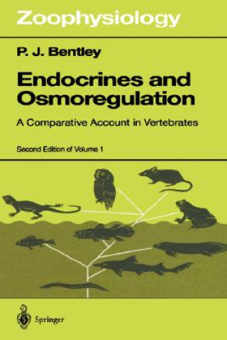 Könyv Endocrines and Osmoregulation Peter J. Bentley