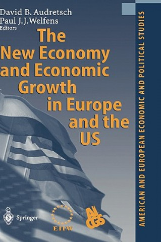 Книга New Economy and Economic Growth in Europe and the US David B. Audretsch