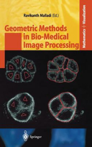 Kniha Geometric Methods in Bio-Medical Image Processing Ravikanth Malladi