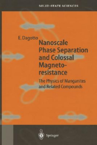 Könyv Nanoscale Phase Separation and Colossal Magnetoresistance E. Dagotto