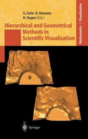 Kniha Hierarchical and Geometrical Methods in Scientific Visualization Gerald Farin