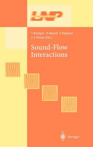 Book Sound-Flow Interactions Yves Auregan