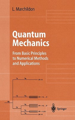 Carte Quantum Mechanics Louis Marchildon