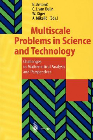 Kniha Multiscale Problems in Science and Technology Nenad Antonic