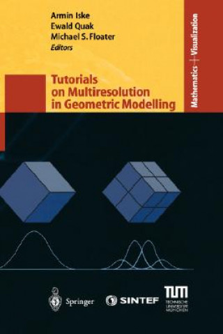 Carte Tutorials on Multiresolution in Geometric Modelling Armin Iske