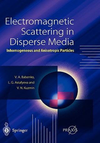 Könyv Electromagnetic Scattering in Disperse Media Victor A. Babenko