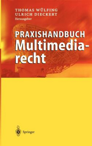 Kniha Praxishandbuch Multimediarecht Thomas Wülfing