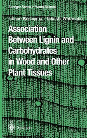 Carte Association Between Lignin and Carbohydrates in Wood and Other Plant Tissues T. Koshijima