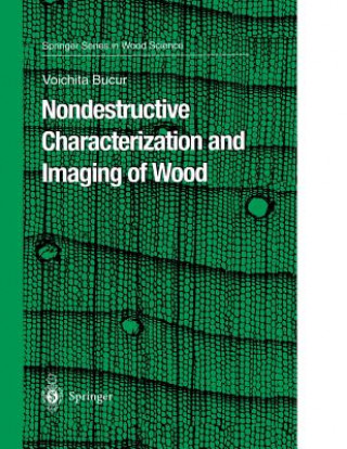 Kniha Nondestructive Characterization and Imaging of Wood V. Bucur