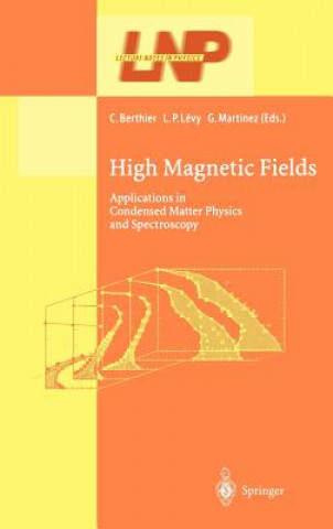 Книга High Magnetic Fields C. Berthier