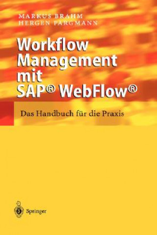 Könyv Workflow Management Mit Sap(r) Webflow(r) Markus Brahm