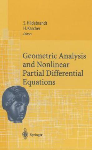 Livro Geometric Analysis and Nonlinear Partial Differential Equations Stefan Hildebrandt