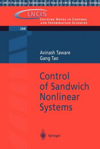 Könyv Control of Sandwich Nonlinear Systems Avinash Taware