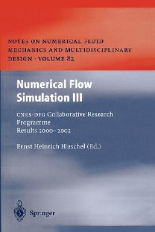 Carte Numerical Flow Simulation III Ernst H. Hirschel