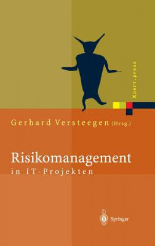 Kniha Risikomanagement in It-Projekten Gerhard Versteegen