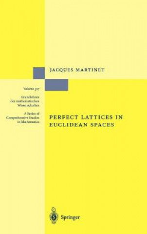 Könyv Perfect Lattices in Euclidan Spaces J. Martinet
