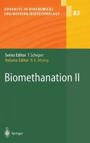 Kniha Biomethanation II Wolfgang Babel