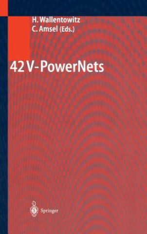 Kniha 42 V-PowerNets Henning Wallentowitz