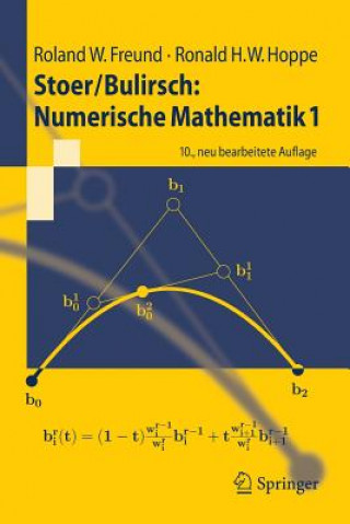 Kniha Stoer/Bulirsch: Numerische Mathematik 1 Roland W. Freund