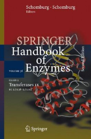 Kniha Class 2 . Transferases IX Dietmar Schomburg