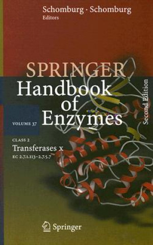 Boek Class 2 Transferases X Dietmar Schomburg
