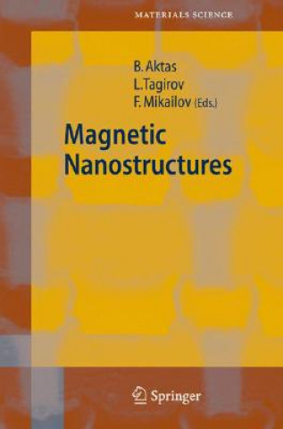 Könyv Magnetic Nanostructures Lenar Tagirov